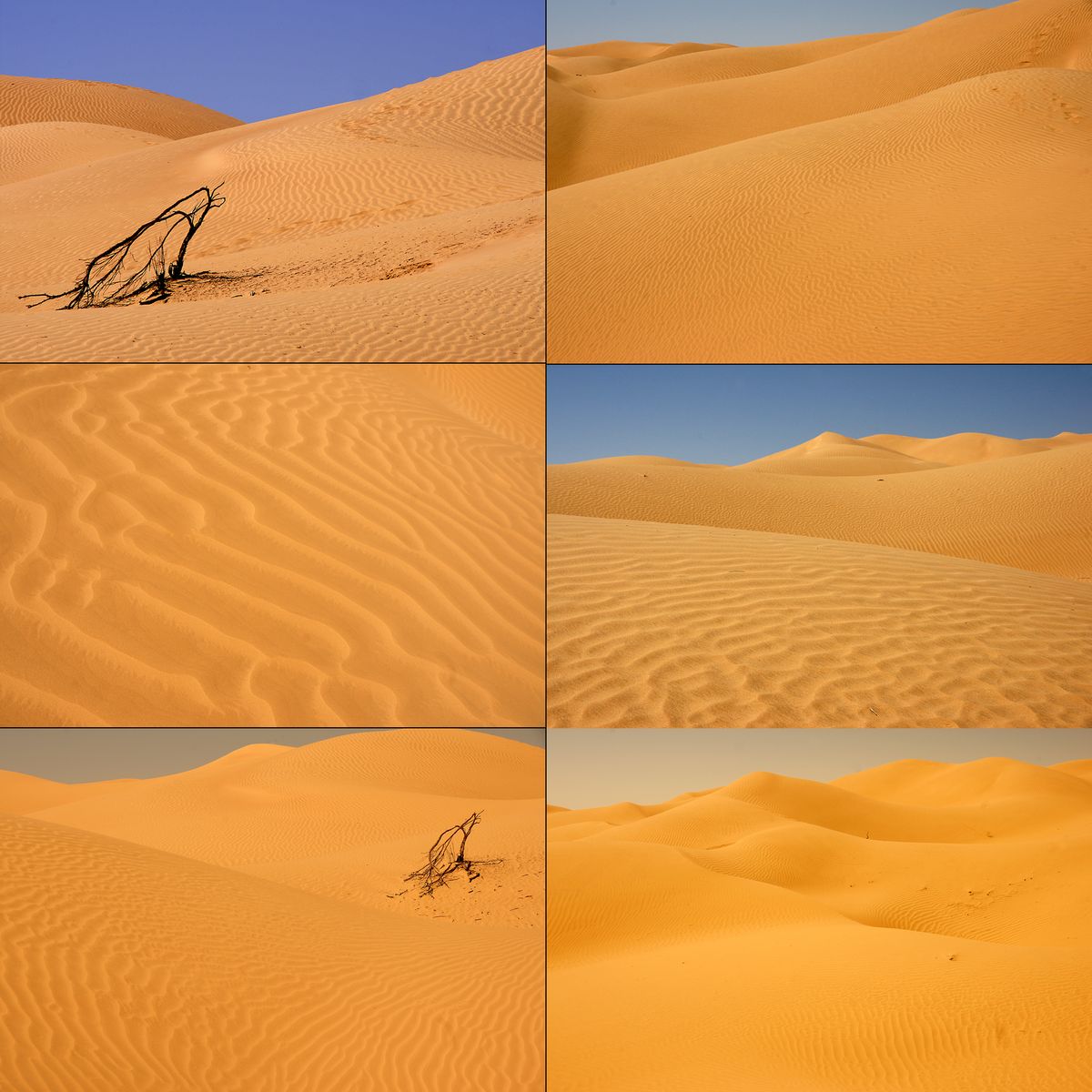 Farbe und Struktur in der  Sandwüste