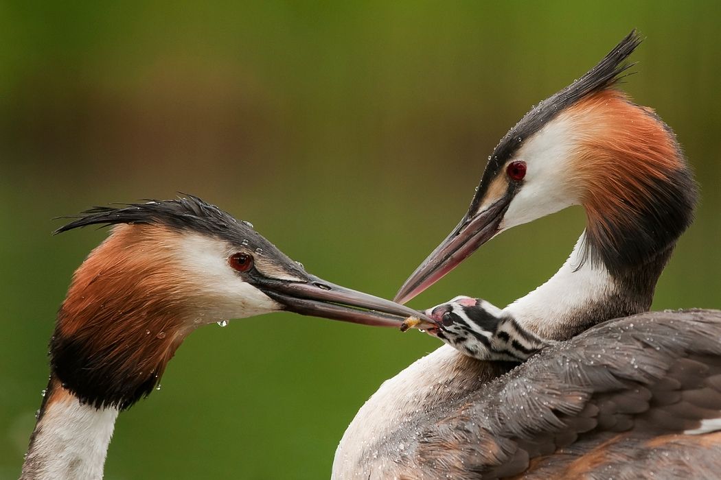 The love of parents is unconditional...