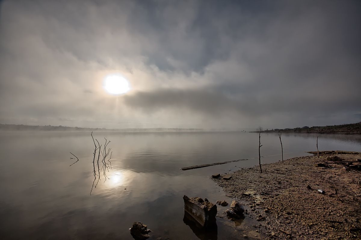 LA NIEBLA