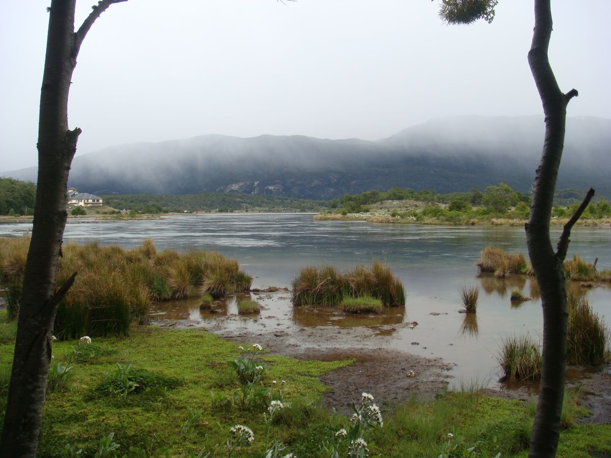 Argentina - Parque Tierra del Fuego