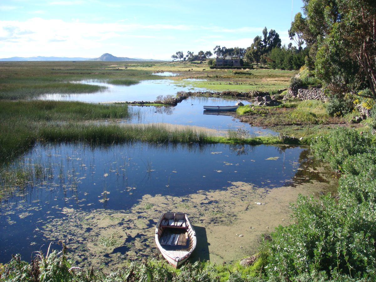 Peru - Lake Titicaca