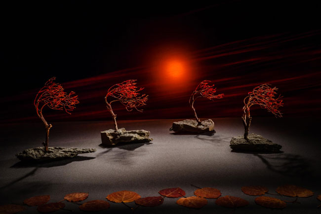 Trees.jpg Trees.jpg
