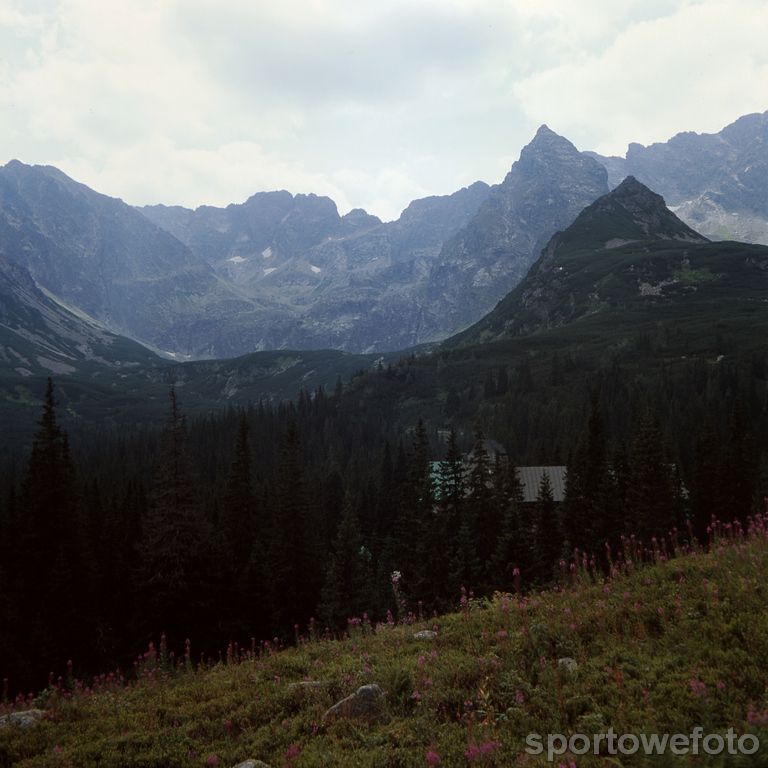 Tatry