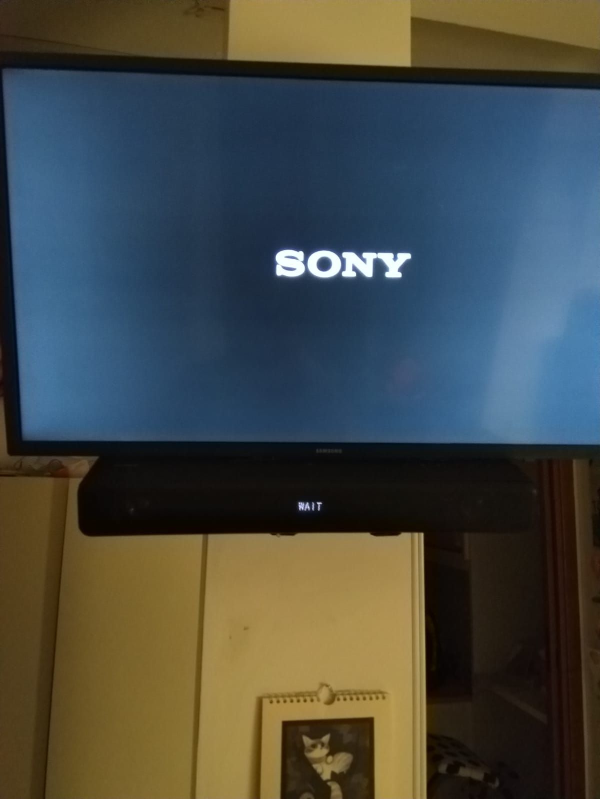 sony.jpeg