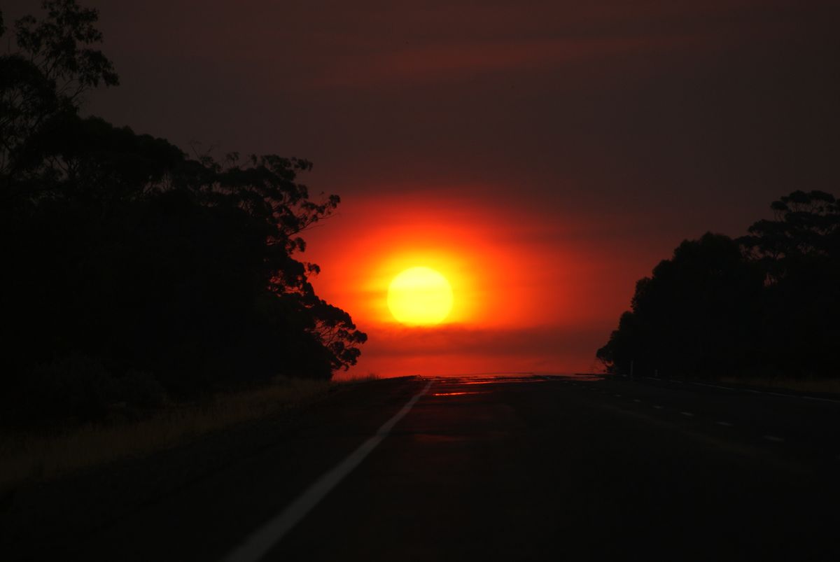 On the Road between South & Western-Australia