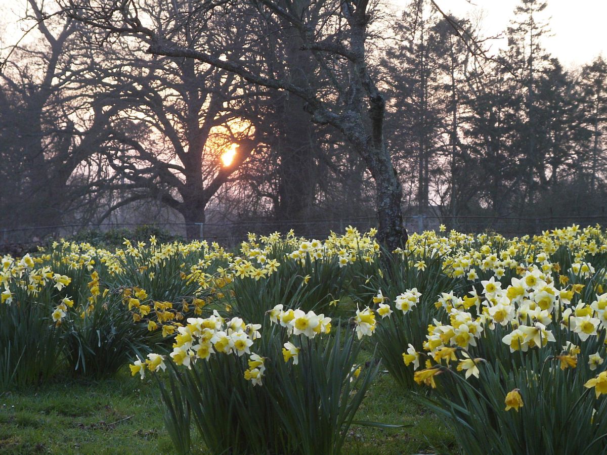 Springwatch in UK