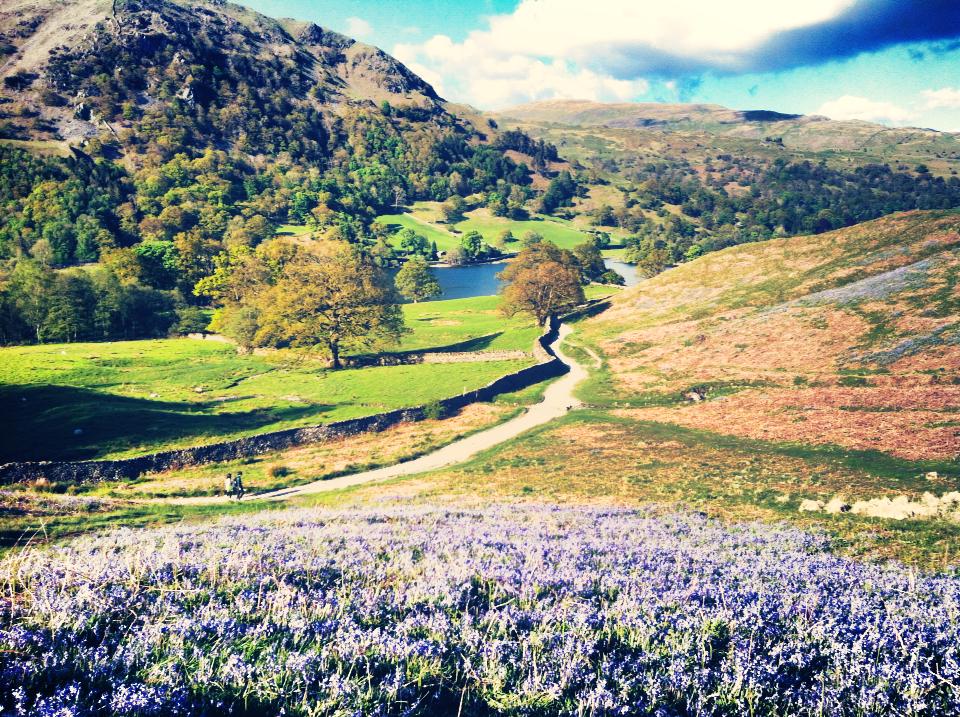 lake district.jpg lake district.jpg