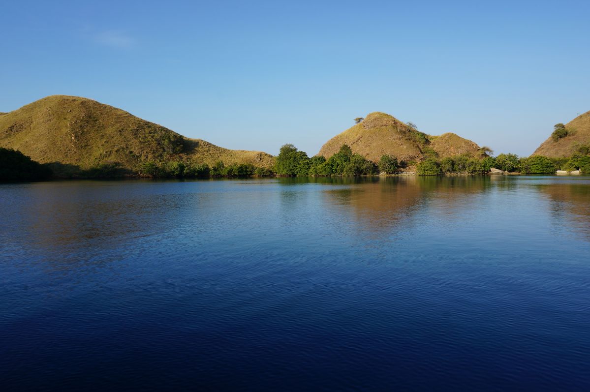 Magnifique paysage dans le parc de Komodo en Indonésie